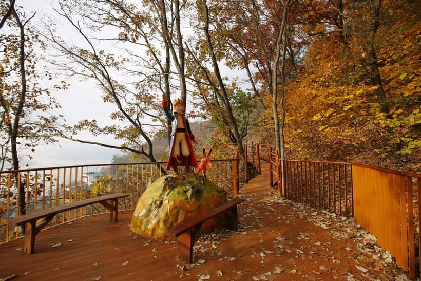 Seoul: Nami Island, Garden and Petite France (opt. Railbike) - Should you book it?