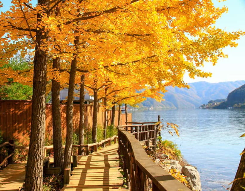 Seoul: Nami Island, Garden and Petite France (opt. Railbike) - Guides, meals, and the pace of the day