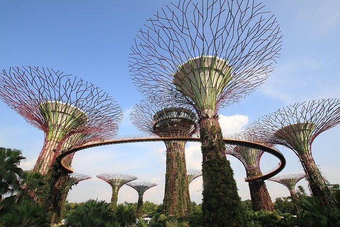 Singapore: Gardens by the Bay Admission E-Ticket - Why Gardens by the Bay works so well as a Singapore stop