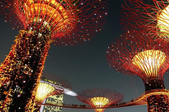 Singapore: Gardens by the Bay Admission E-Ticket - Flower Dome offers a cool tour of five continents