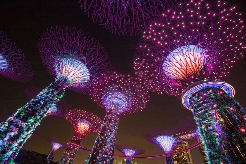 Singapore: Gardens by the Bay Bundle Entry Ticket - Why the Cloud Forest deserves first place