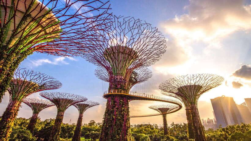 Singapore: Gardens by the Bay Bundle Entry Ticket - Supertree Observatory for city and garden views