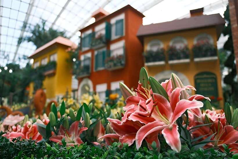 Singapore: Gardens by the Bay Bundle Entry Ticket - Floral Fantasy and the limited-time pony display