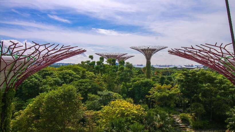 Singapore: Gardens by the Bay Bundle Entry Ticket - Flower Dome: flowers from several climate zones