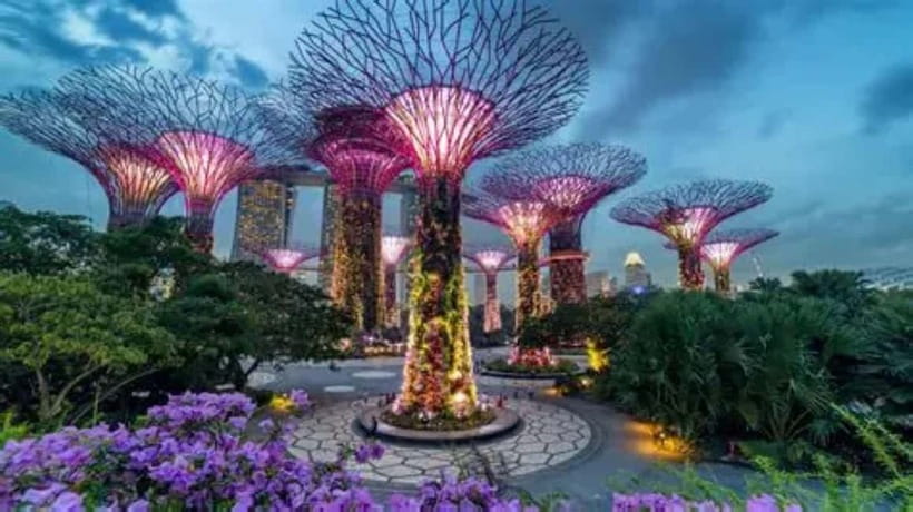 Singapore: Gardens by the Bay National Garden Day Tour - Key points at a glance