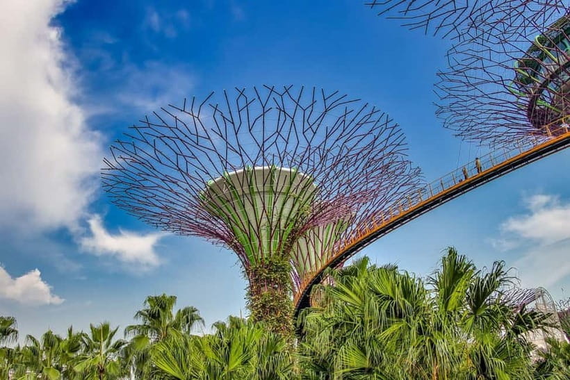 Singapore: Gardens by the Bay National Garden Day Tour - Who should book this experience?