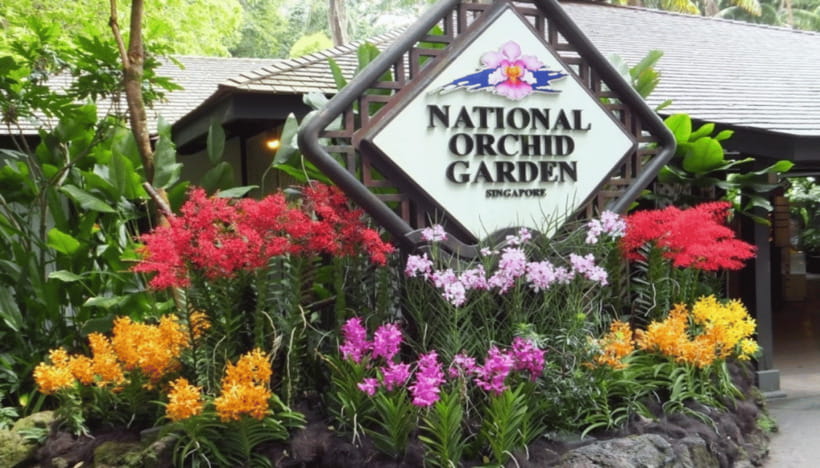 Singapore: National Orchid Garden Admission - Why the 2,000 hybrids deserve attention