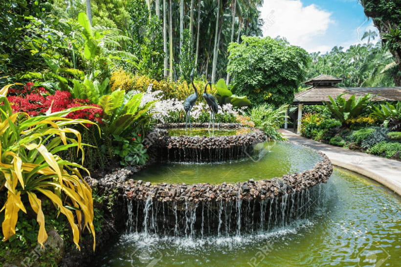 Singapore: National Orchid Garden Admission - VIP Orchid Enclosure and award-winning varieties