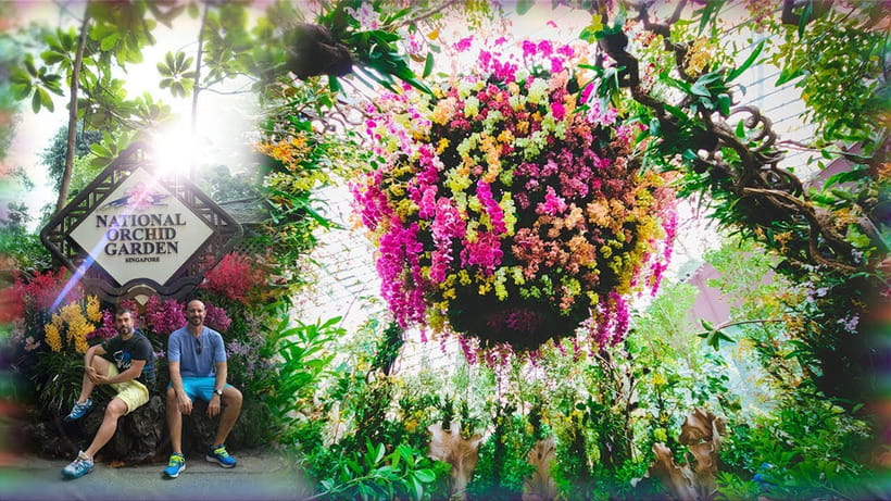 Singapore: National Orchid Garden Admission - The Fragrant Trail adds scent to the visit