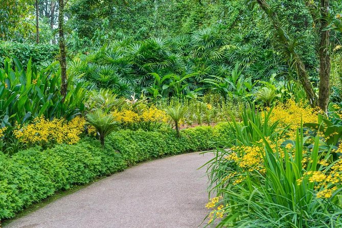 Singapore: National Orchid Garden Admission Ticket - How to build a half-day visit