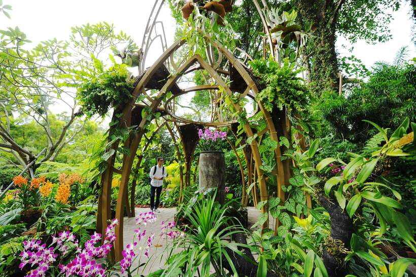 Singapore: National Orchid Garden Entry Tickets - How much time should you allow?