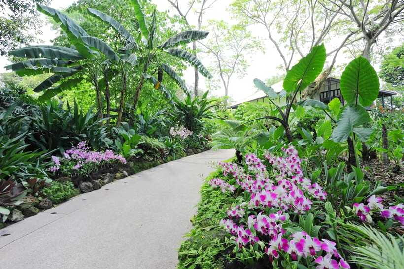 Singapore: National Orchid Garden Entry Tickets - Is $8 good value?