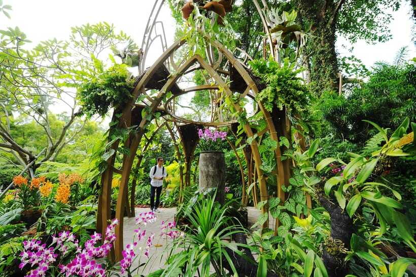 Singapore: National Orchid Garden Entry Tickets - Getting around the site