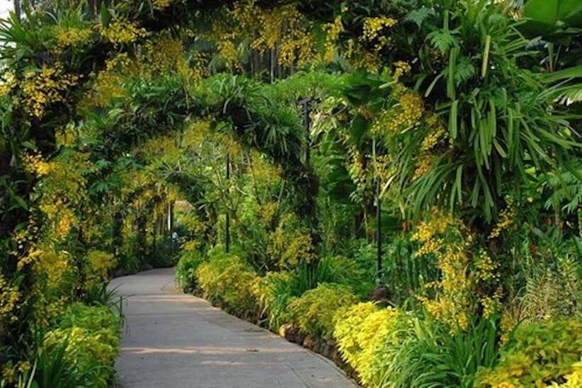 Singapore: National Orchid Garden Entry Tickets - Who will enjoy this garden most?