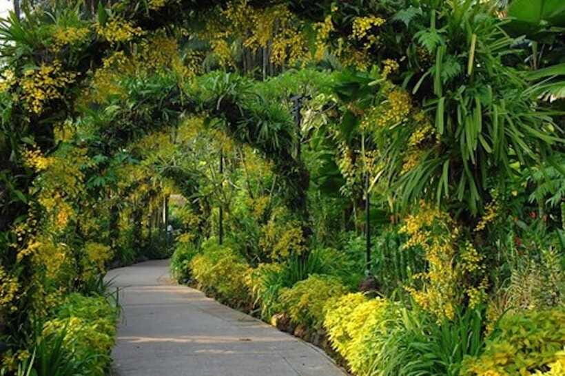 Singapore: National Orchid Garden Entry Tickets - Should you book the National Orchid Garden?