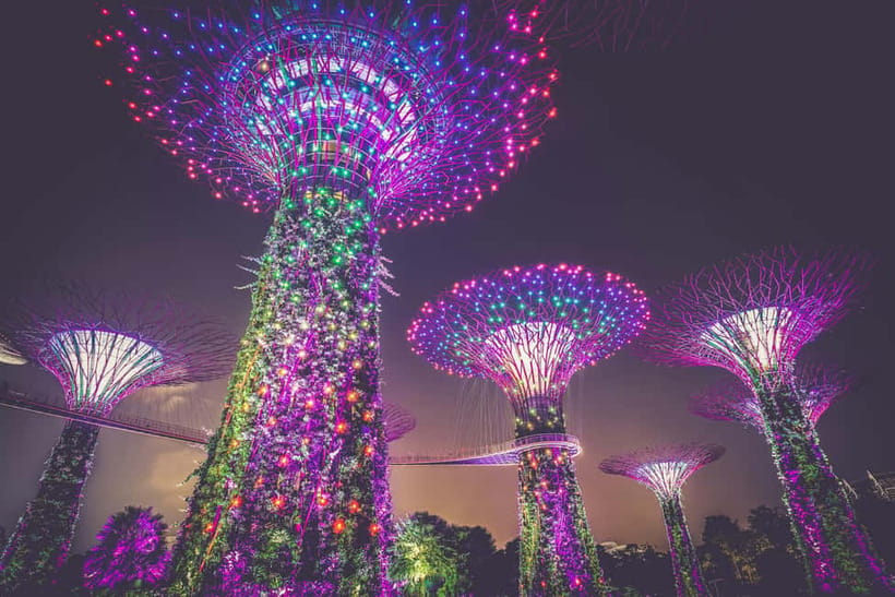 Singapore River Cruise, Garden Rhapsody & Spectra by CYT - Walking, comfort, and who should book