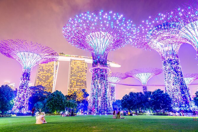 Singapore River Cruise, Night Garden Rhapsody & Spectra by CYT - Key points to know