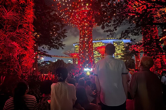 Singapore River Cruise, Night Garden Rhapsody & Spectra by CYT - Garden Rhapsody rewards a good viewing position