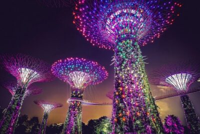 Singapore Starry Night Cruise, Garden Rhapsody & Spectra Show