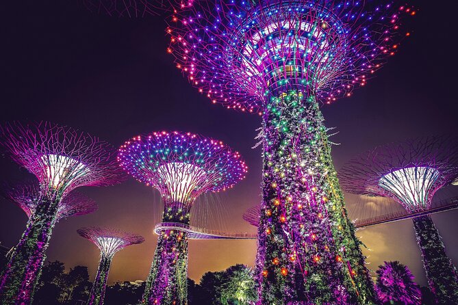 Singapore Starry Night Cruise, Garden Rhapsody & Spectra Show - Merlion Park and Singapore’s familiar symbol
