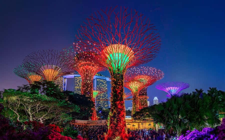 Singapore Starry Night: Cruise, Garden Rhapsody & Spectra - The Merlion and Marina Bay skyline
