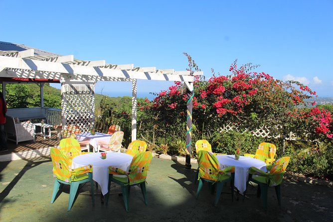 Skip the Line: Ahhh Ras Natango Gallery and Garden Admission Tickets - The climb above Montego Bay sets the tone