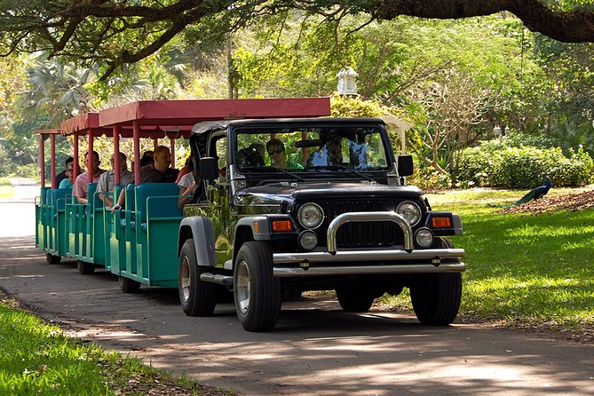 Skip the Line: Flamingo Gardens Admission Ticket in Fort Lauderdale - Eight Gardens and Five Everglades Ecosystems