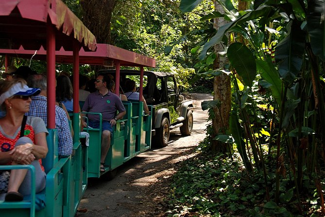 Skip the Line: Flamingo Gardens Admission Ticket in Fort Lauderdale - The Wray Home and a Glimpse of 1930s Florida