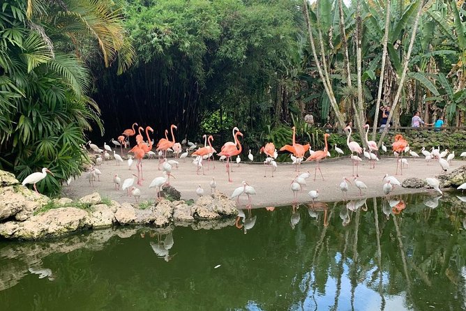 Skip the Line: Flamingo Gardens Admission Ticket in Fort Lauderdale - Birds, Flamingos, and the Free-Flying Aviary
