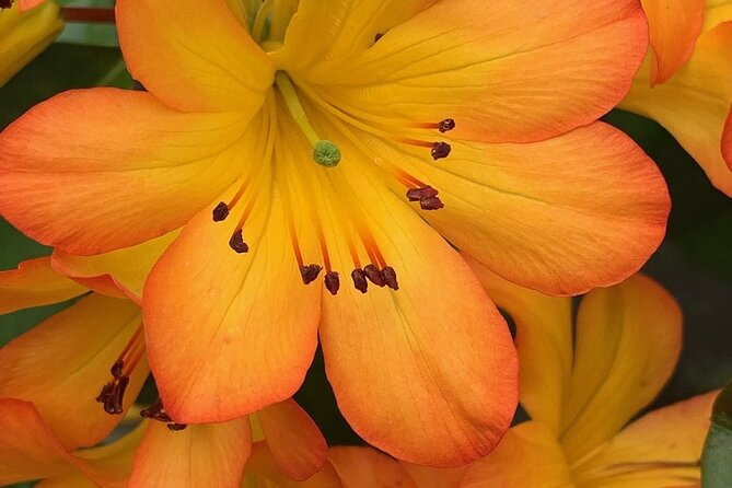 Skip the Line: Vallarta Botanical Garden Admission Ticket - Swimming in the Los Horcones River
