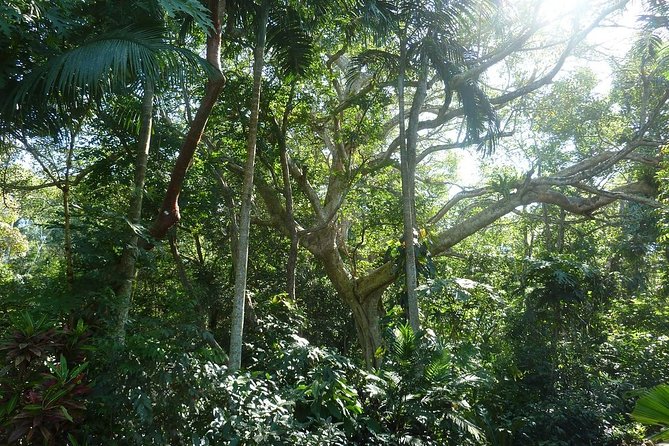 Skip the Line: Vallarta Botanical Garden Admission Ticket - Birds, butterflies, fountains, and a peaceful chapel