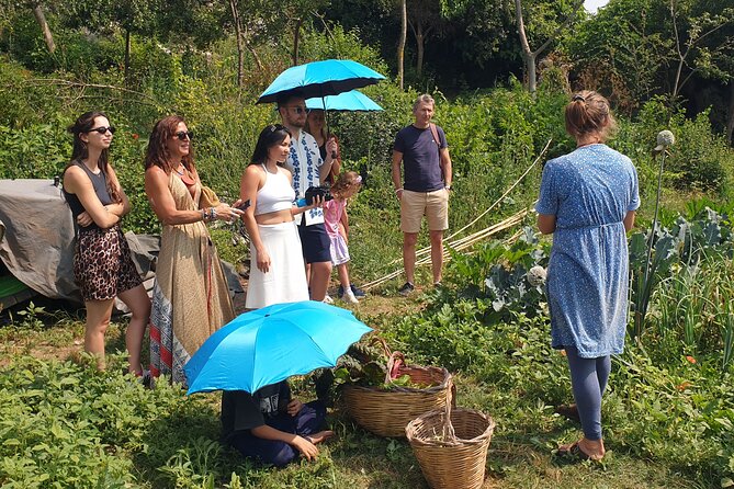 Slowlife Family Farm- Cook with us From Garden to Table Syracuse - Taste the products that surround the farm