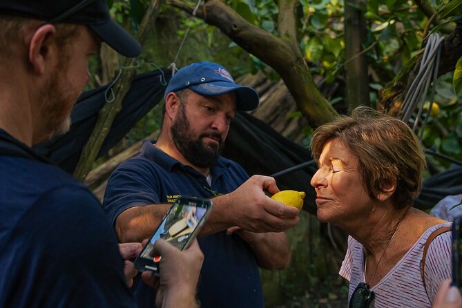 Sorrento Ape Tour, Lemon Garden, Mozzarella Show & Pizza Class - Key points at a glance