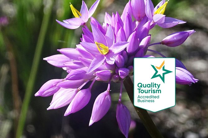 Spring Wildflower Private Day Tours - Key points before you book