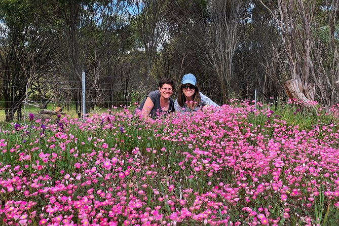 Spring Wildflower Private Day Tours - Araluen Botanic Park and its August to September tulips