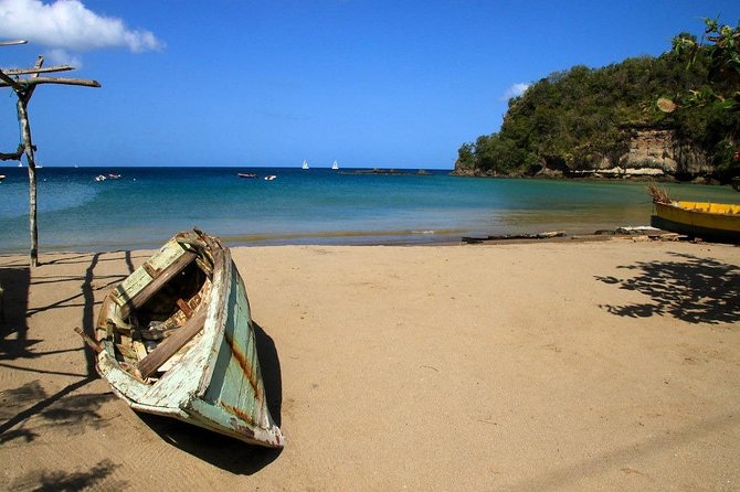 St. Lucia Botanical Gardens and Waterfall Tour Groups only - Who will enjoy this St. Lucia tour?