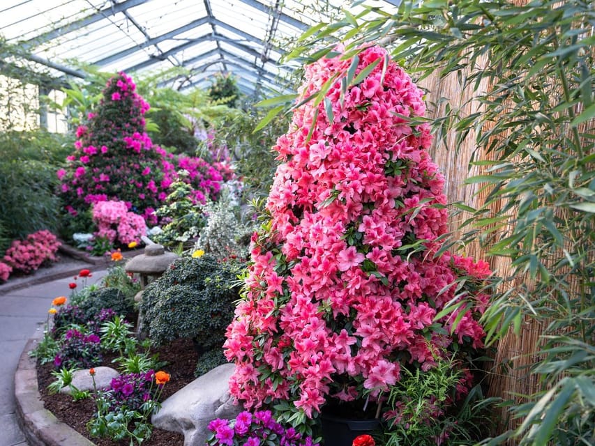 Stuttgart: Wilhelma Zoological-Botanical Garden Ticket - Amazonia and Mountain Worlds