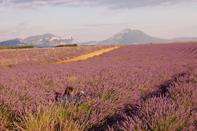 Sunset Lavender Tour in Valensole with pickup from Marseille - Why evening is the right time for Valensole