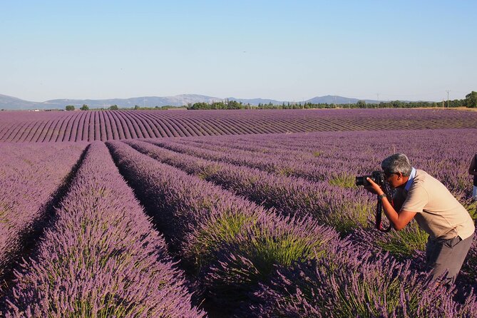 Sunset Lavender Tour in Valensole with pickup from Marseille - The guides can shape the whole outing