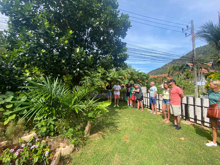 Thai Cooking Class with Market & Garden Tour - What the $73 price really covers