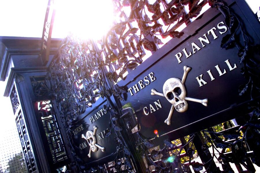 The Alnwick Garden: Entry Ticket - Getting there and sorting out admission