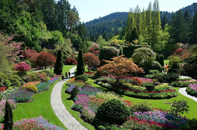 The Butchart Gardens Express Shuttle from Downtown Victoria - A smart route through the Japanese Garden and main paths