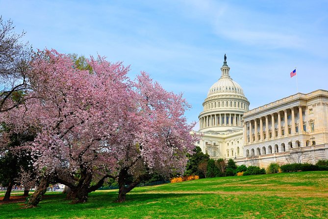 The DC Cherry Blossom Bus Tour with Tidal Basin Guided Walk - White House, outside only