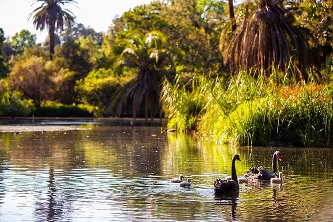 The Explorer - Melbourne Gardens - The value of seeing the gardens without a long walk