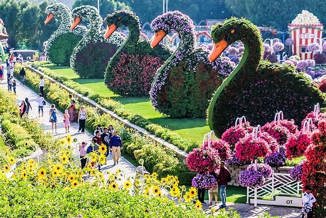 Tickets to Miracle Garden or Butterfly Garden or Global Village - Global Village: the best choice for an evening out