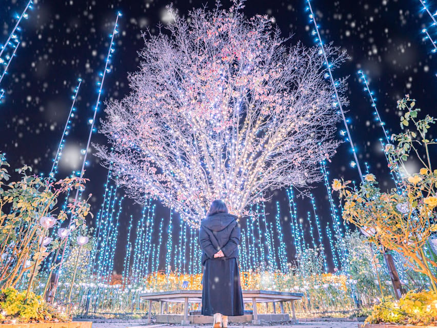 Tokyo: Ashikaga Flower Park with Entry Ticket - The guide can make the price easier to justify