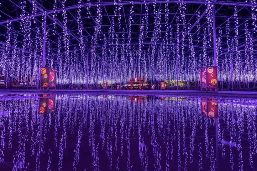Tokyo: Ashikaga Flower Park with Entry Ticket - Who will enjoy this experience most