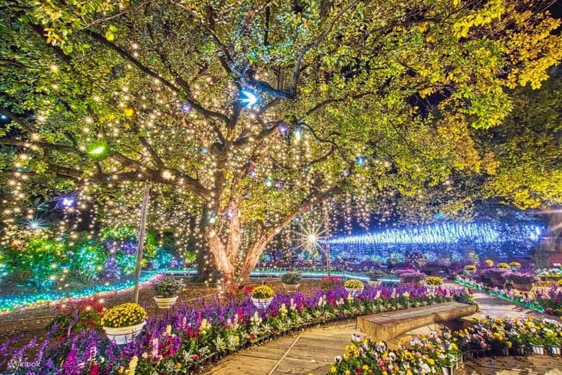 Tokyo: Ashikaga Flower Park with Entry Ticket - Winter illumination after dark