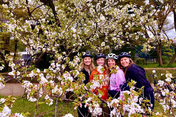 Tokyo Cherry Blossoms blooming spots E-bike Tour, 3hrs - Why an e-bike works well for Tokyo’s cherry blossoms