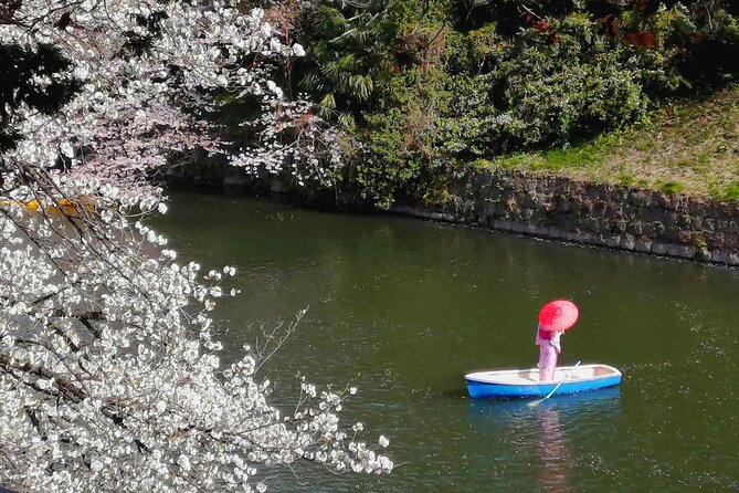 Tokyo Cherry Blossoms blooming spots E-bike Tour, 3hrs - Yasukuni Shrine and a short walk among the trees